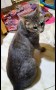 Rayito (1)